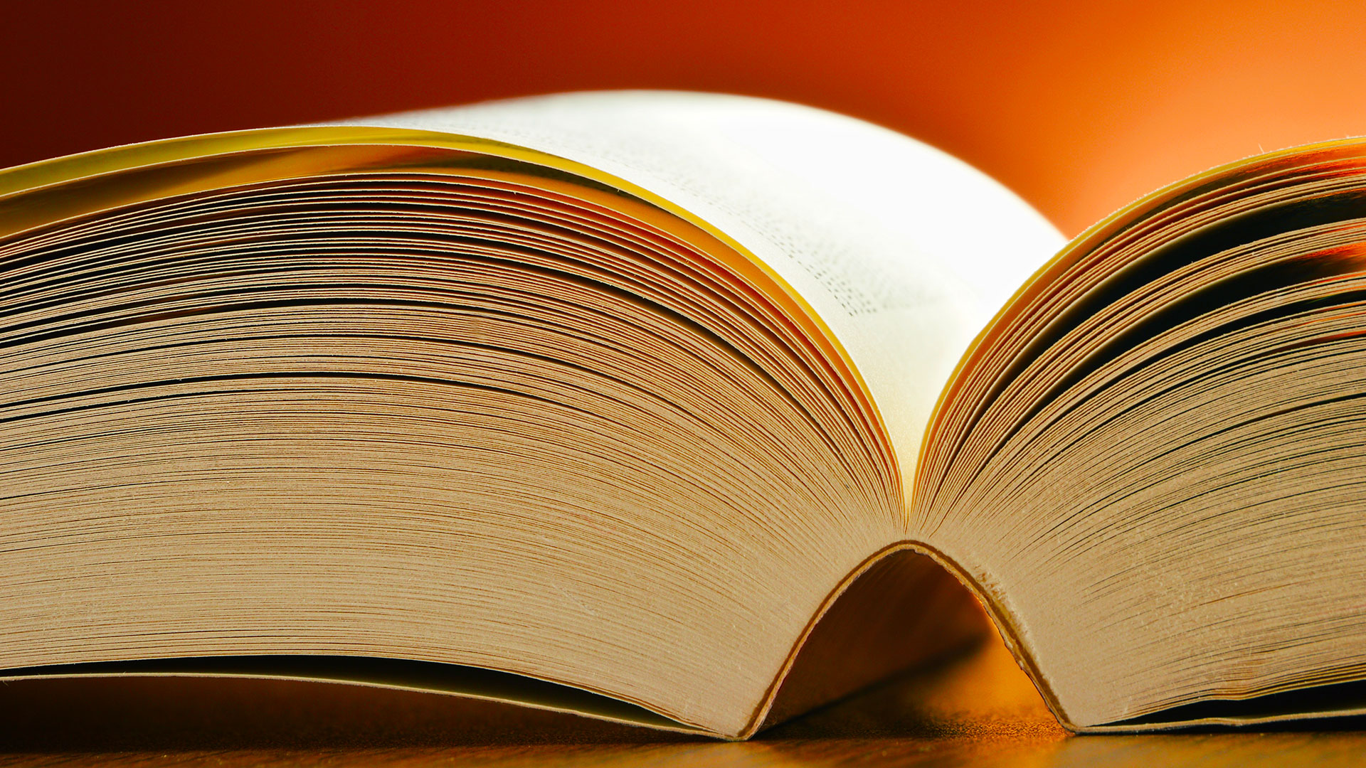 Lighting Glossary and Lighting Terms / Regency Supply